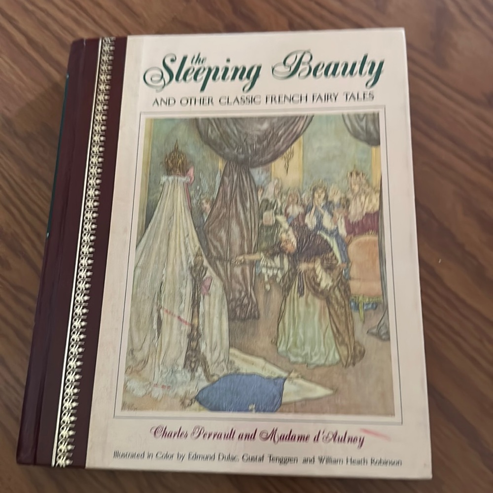Sleeping Beauty Hard bound novel